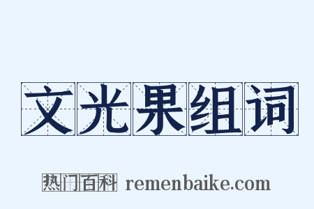 文光果组词是什么意思的图片